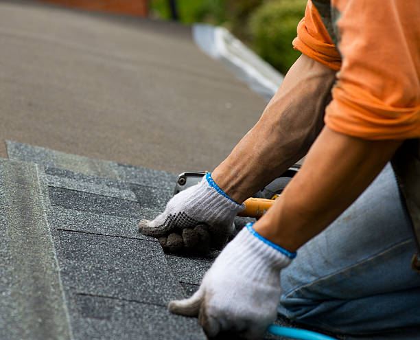 Best Roof Gutter Cleaning  in Burlington, WI